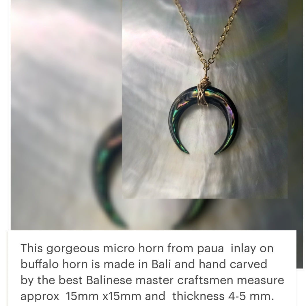 Paua double horn Necklace