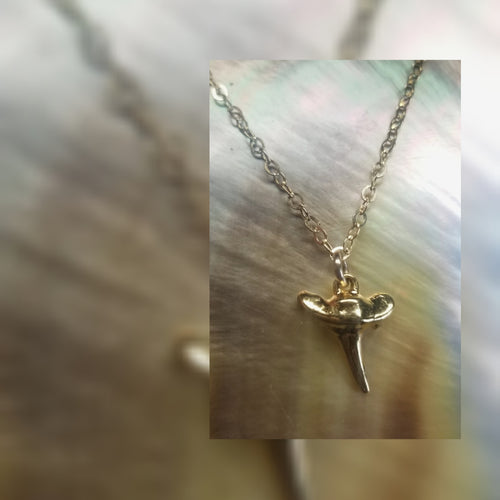 Tiny shark tooth necklace