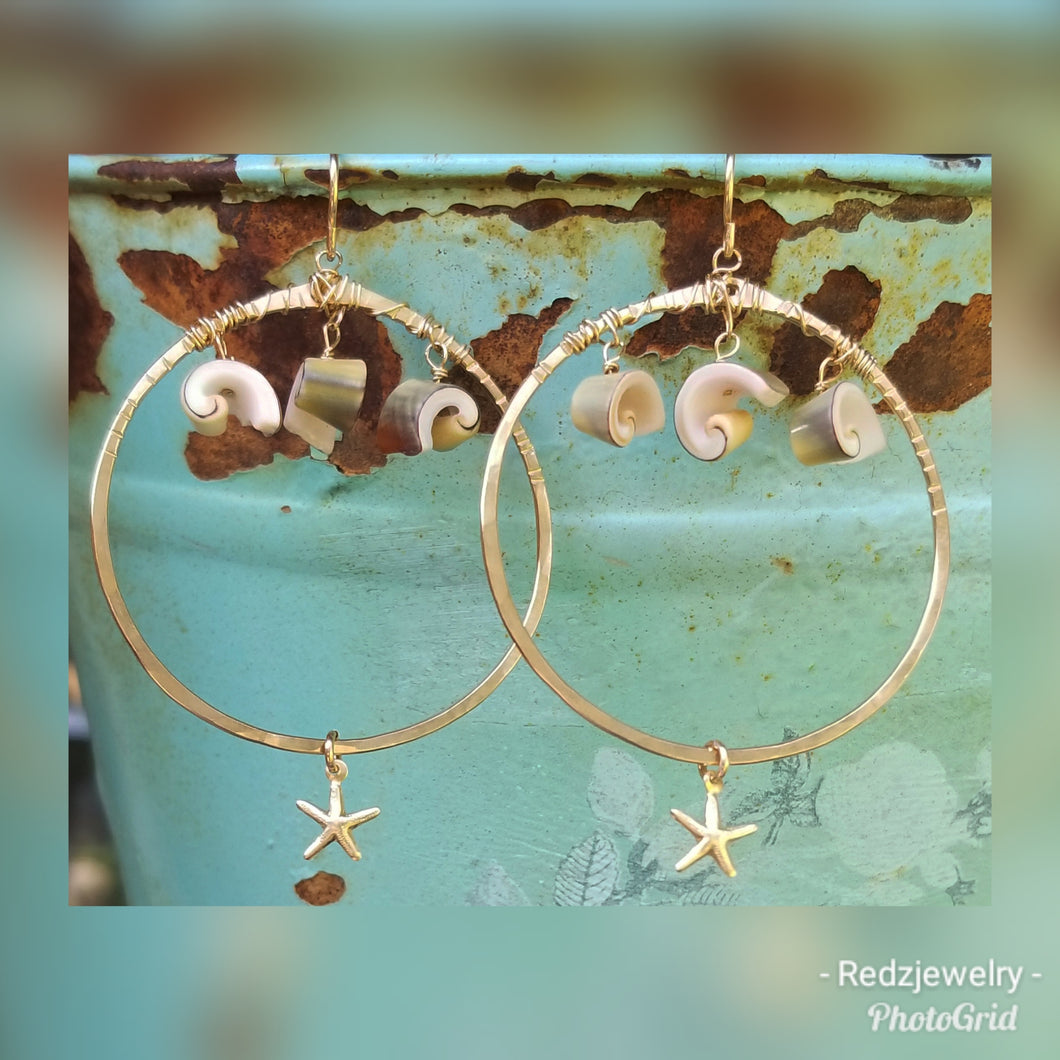 Curly shell Hoops